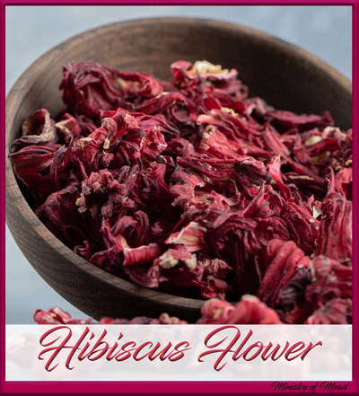 Hibiscus flower in Mead