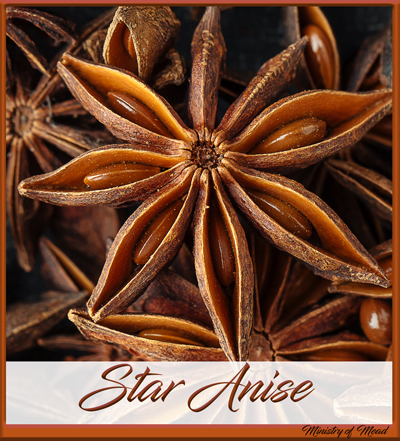 star anise in mead making